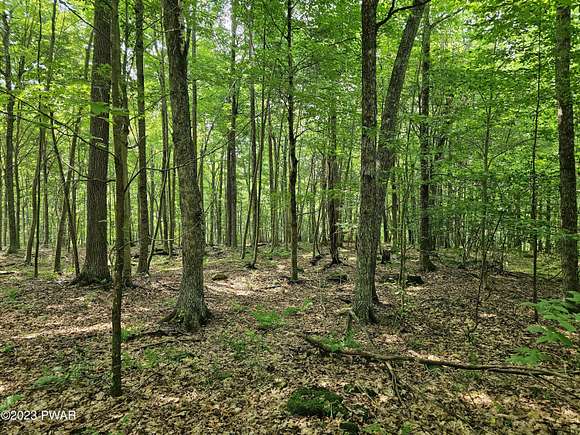 5 Acres of Land for Sale in Equinunk, Pennsylvania