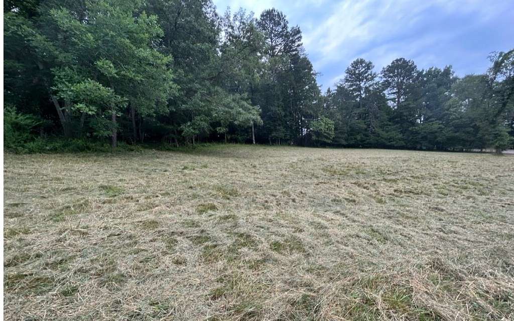 1 Acre of Residential Land for Sale in Blairsville, Georgia