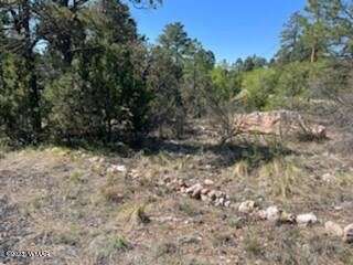 0.9 Acres of Residential Land for Sale in Overgaard, Arizona