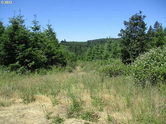 119 Acres of Agricultural Land for Sale in Gaston, Oregon