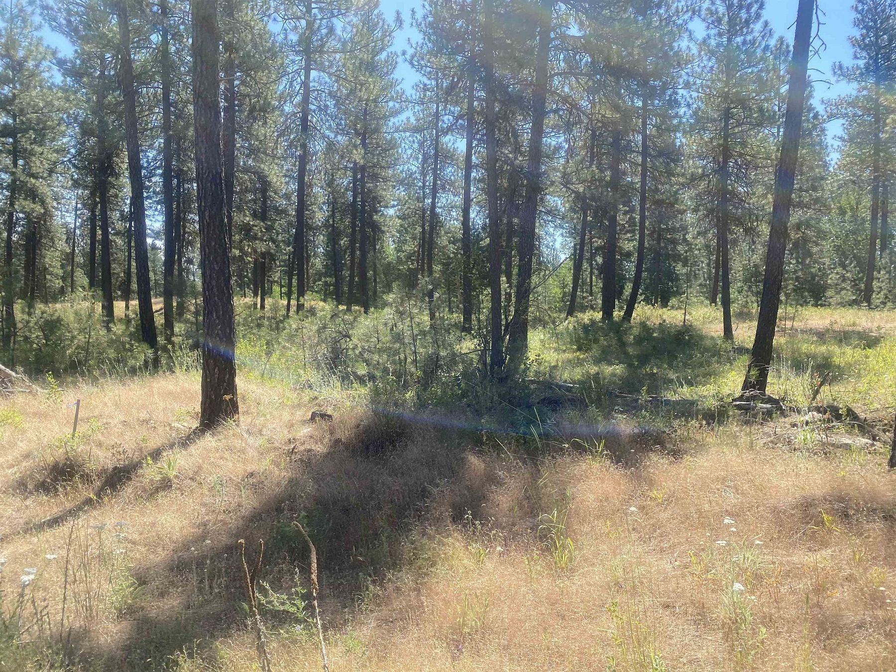 10.5 Acres of Land for Sale in Cheney, Washington
