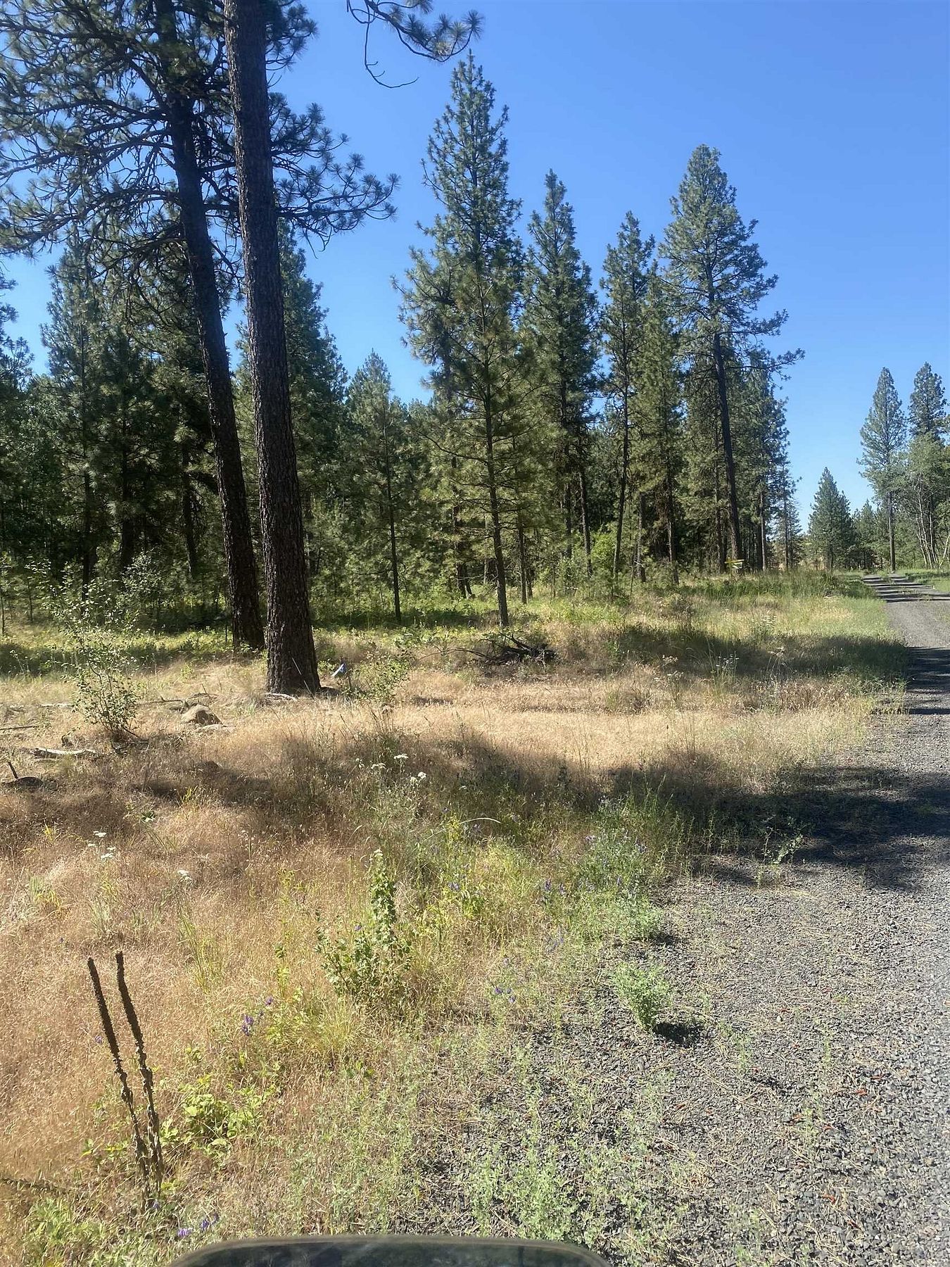 10 Acres of Recreational Land for Sale in Cheney, Washington