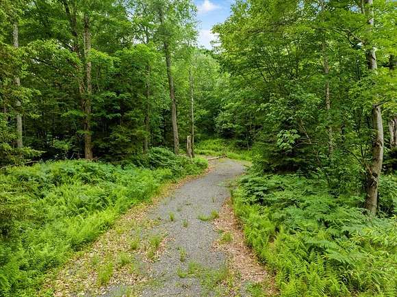 9.8 Acres of Residential Land for Sale in Thendara, New York
