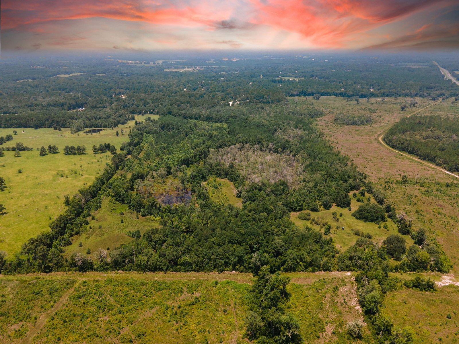 83.7 Acres of Recreational Land & Farm for Sale in Lake City, Florida