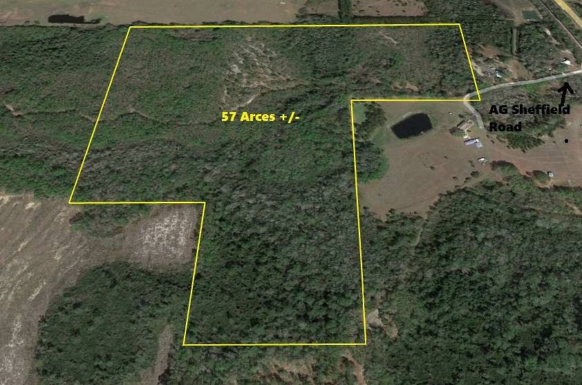 57 Acres of Agricultural Land for Sale in Perry, Florida