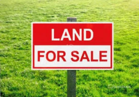 8.2 Acres of Residential Land for Sale in Valdosta, Georgia