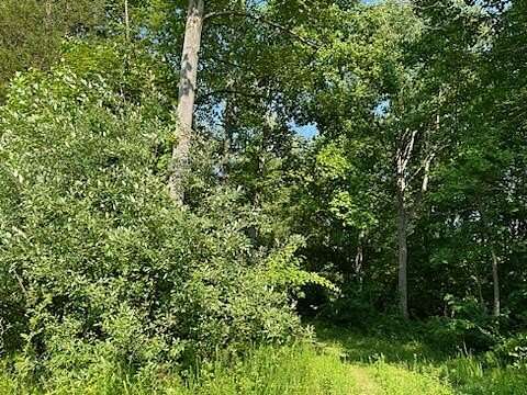 26.2 Acres of Recreational Land for Sale in Richmond, Kentucky