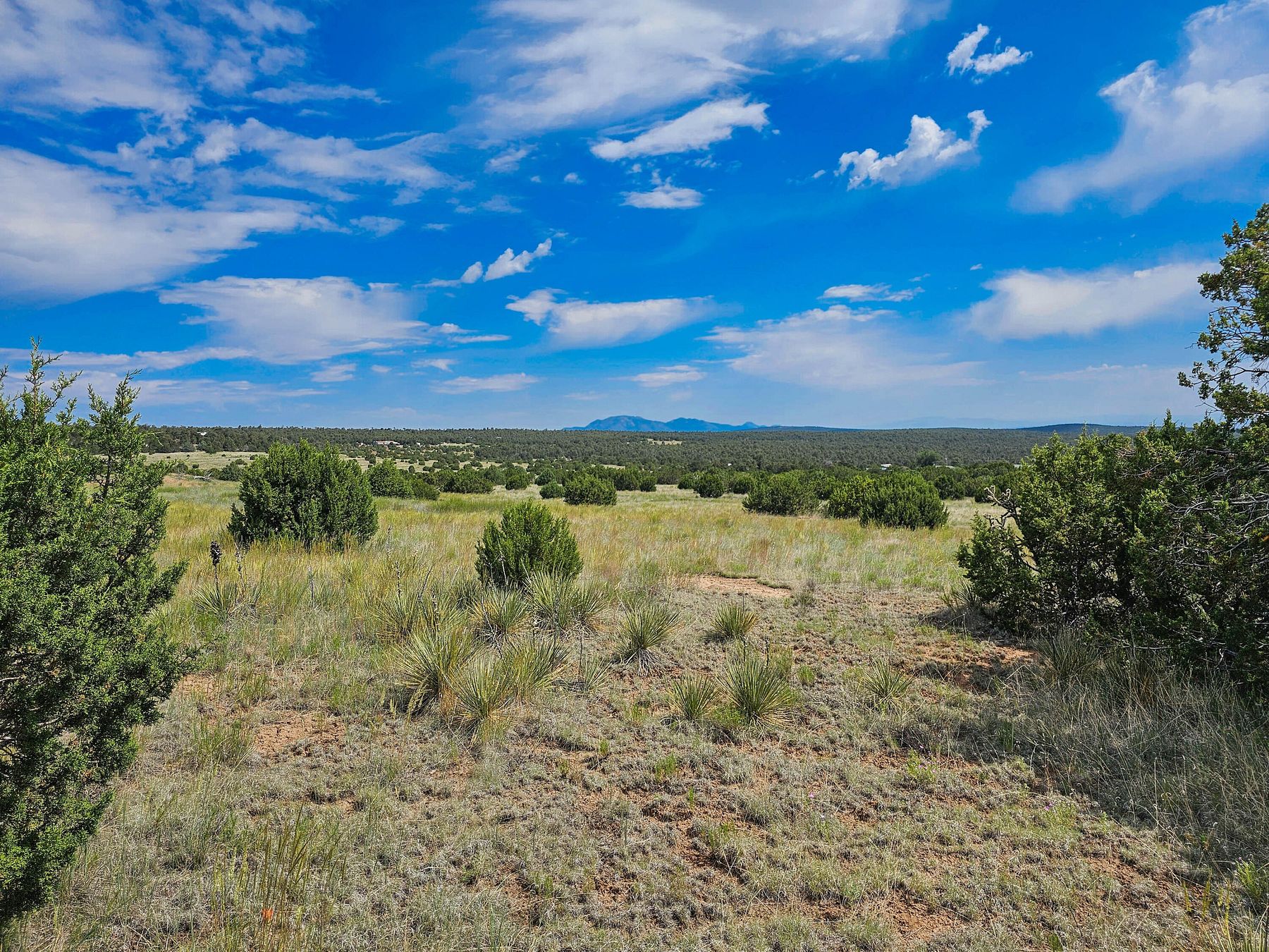 92.07 Acres of Land for Sale in Edgewood, New Mexico