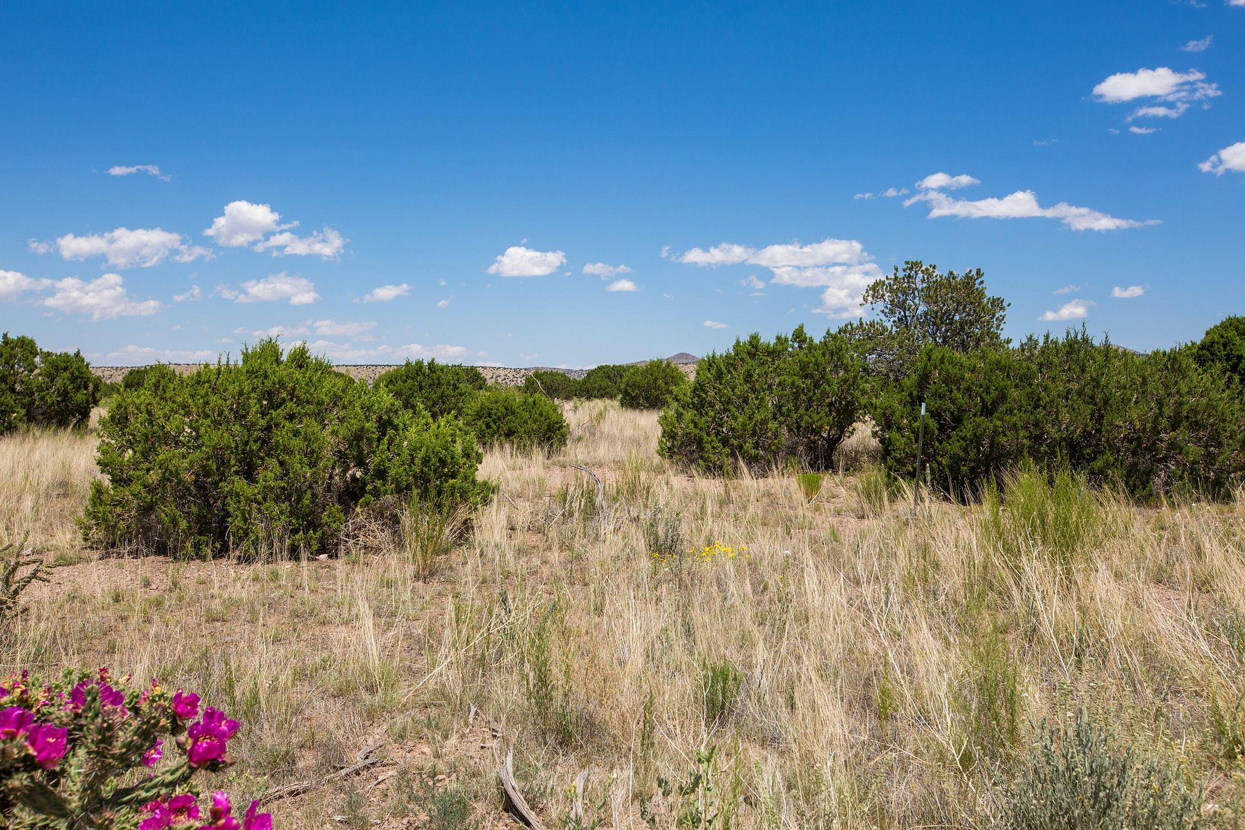 30.1 Acres of Land for Sale in Magdalena, New Mexico