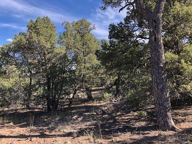 0.24 Acres of Residential Land for Sale in Tres Piedras, New Mexico