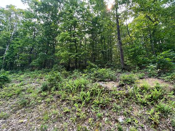 32.5 Acres of Recreational Land for Sale in White Sulphur Springs, West Virginia