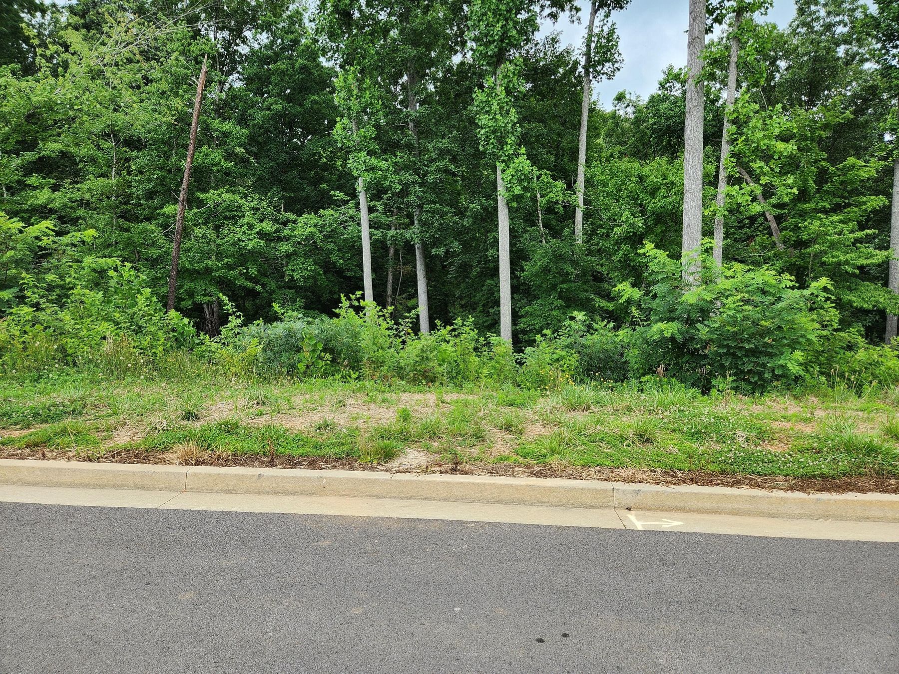 0.25 Acres of Residential Land for Sale in Morristown, Tennessee