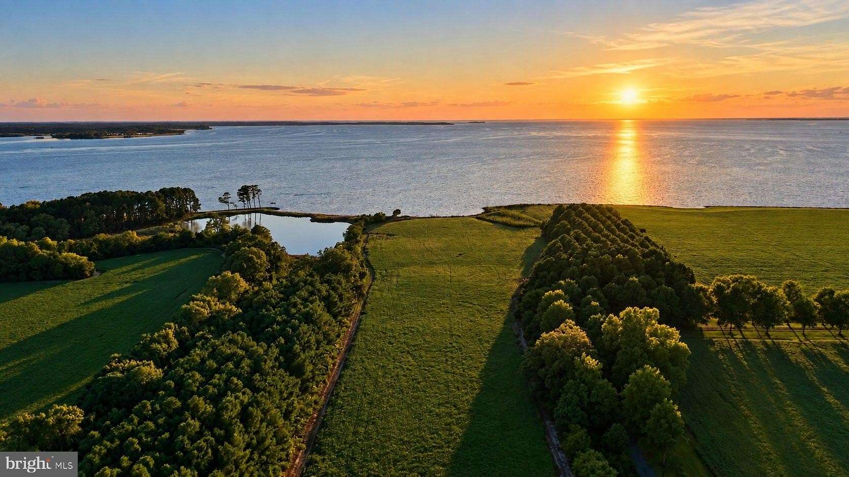 49.5 Acres of Land for Sale in Trappe, Maryland