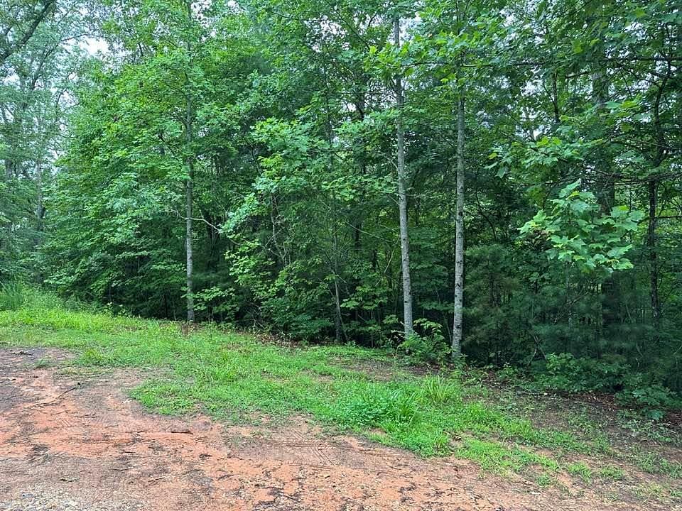 5 Acres of Residential Land for Sale in Robbinsville, North Carolina