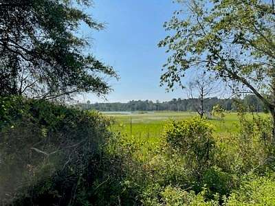15.3 Acres of Recreational Land & Farm for Sale in Lake City, Florida
