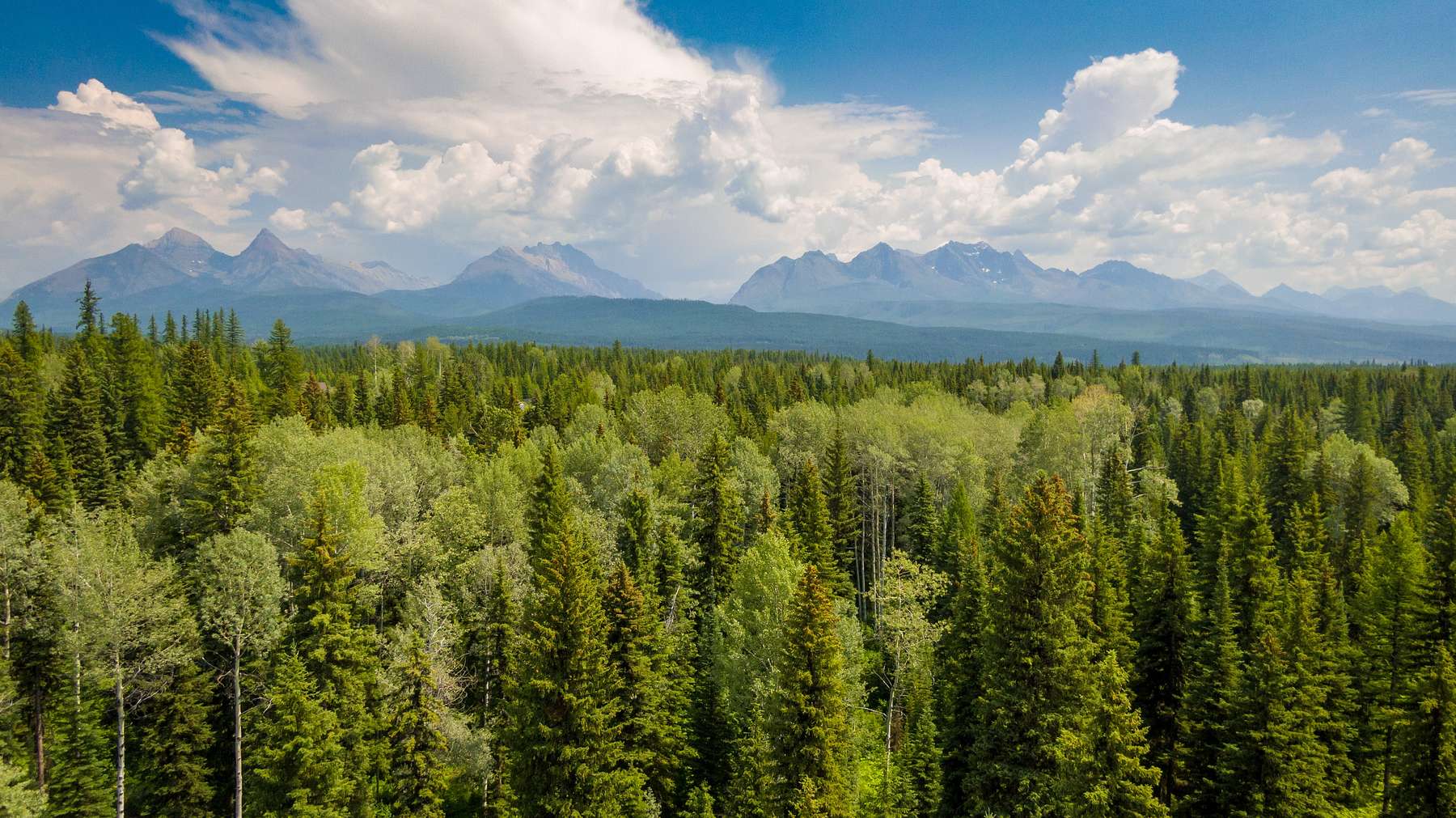 24.1 Acres of Recreational Land for Sale in Polebridge, Montana