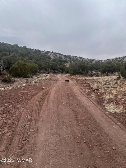 10 Acres of Residential Land for Sale in Concho, Arizona