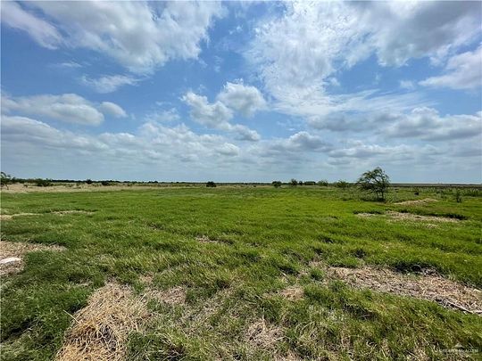 40 Acres of Agricultural Land for Sale in Mercedes, Texas