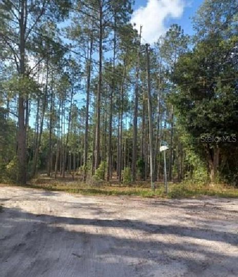 Land In Dunnellon Florida