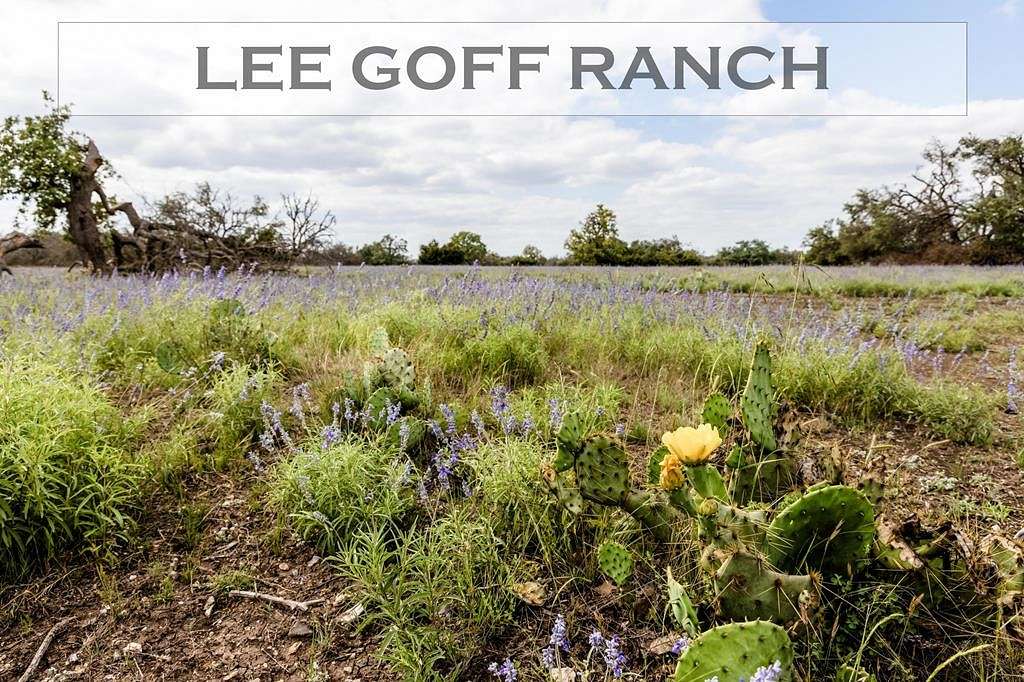 17.2 Acres of Land for Sale in Harper, Texas