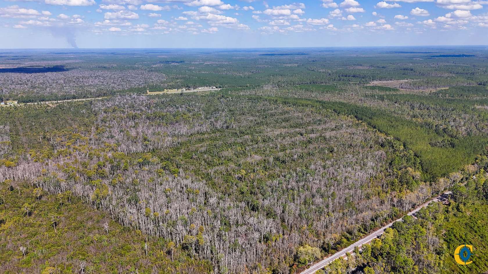 158 Acres of Recreational Land for Sale in Du Pont, Georgia