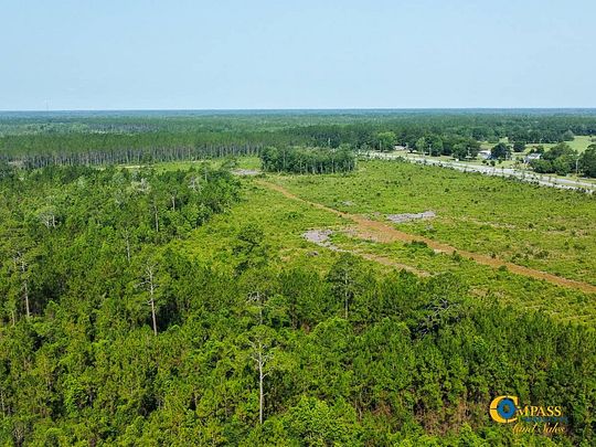 62 Acres of Recreational Land for Sale in Du Pont, Georgia