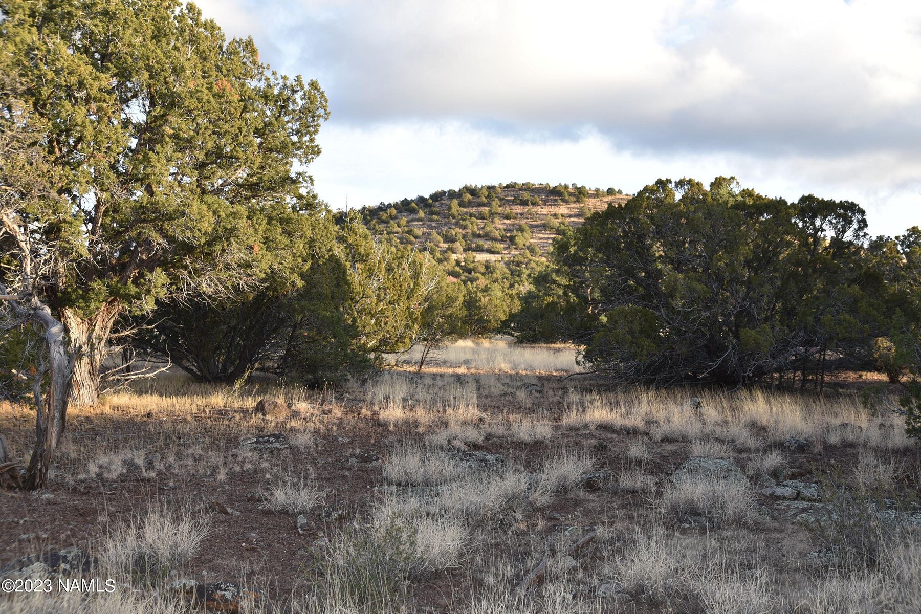 1 Acre of Land for Sale in Williams, Arizona