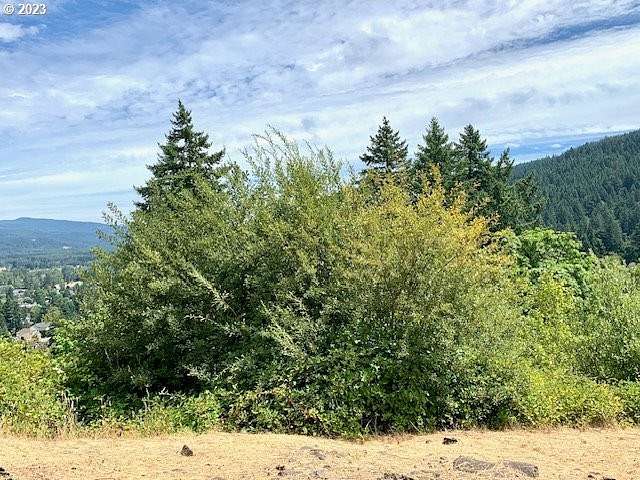 0.63 Acres of Residential Land for Sale in Springfield, Oregon