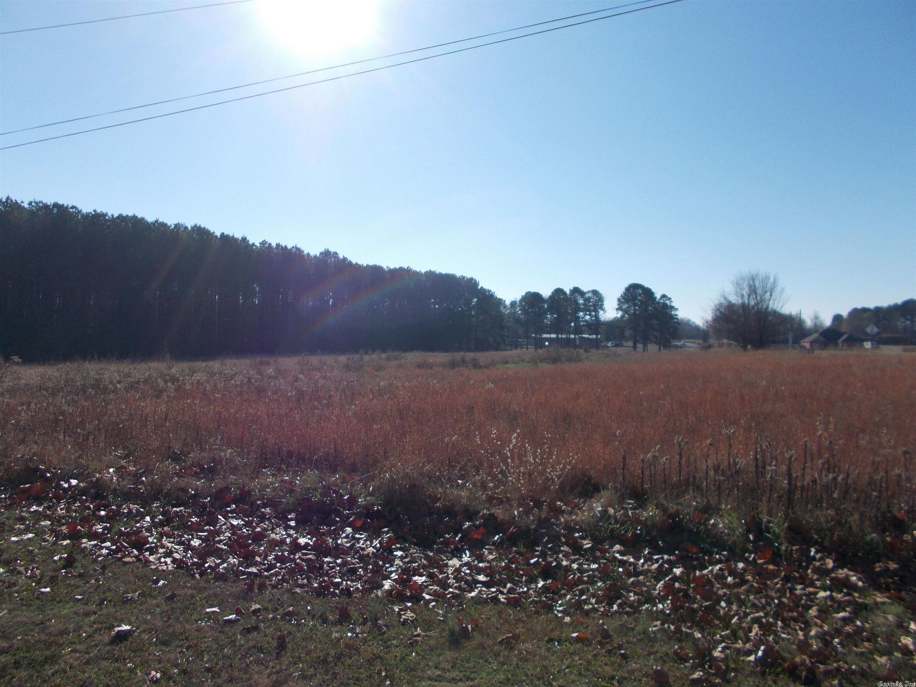 41.1 Acres of Land for Sale in Cabot, Arkansas
