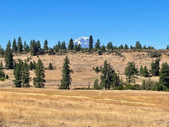 20.1 Acres of Land for Sale in Centerville, Washington