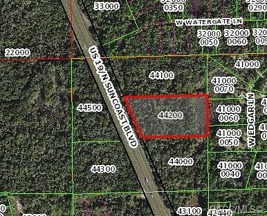 21.1 Acres of Land for Sale in Crystal River, Florida