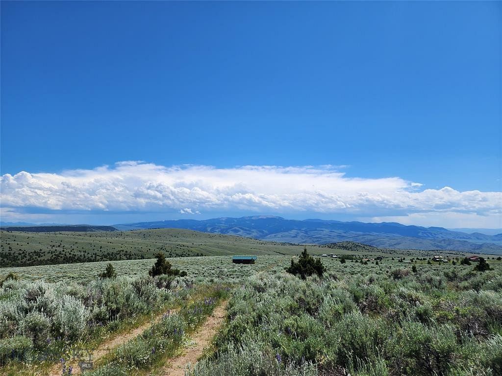 20.2 Acres of Land for Sale in Sheridan, Montana
