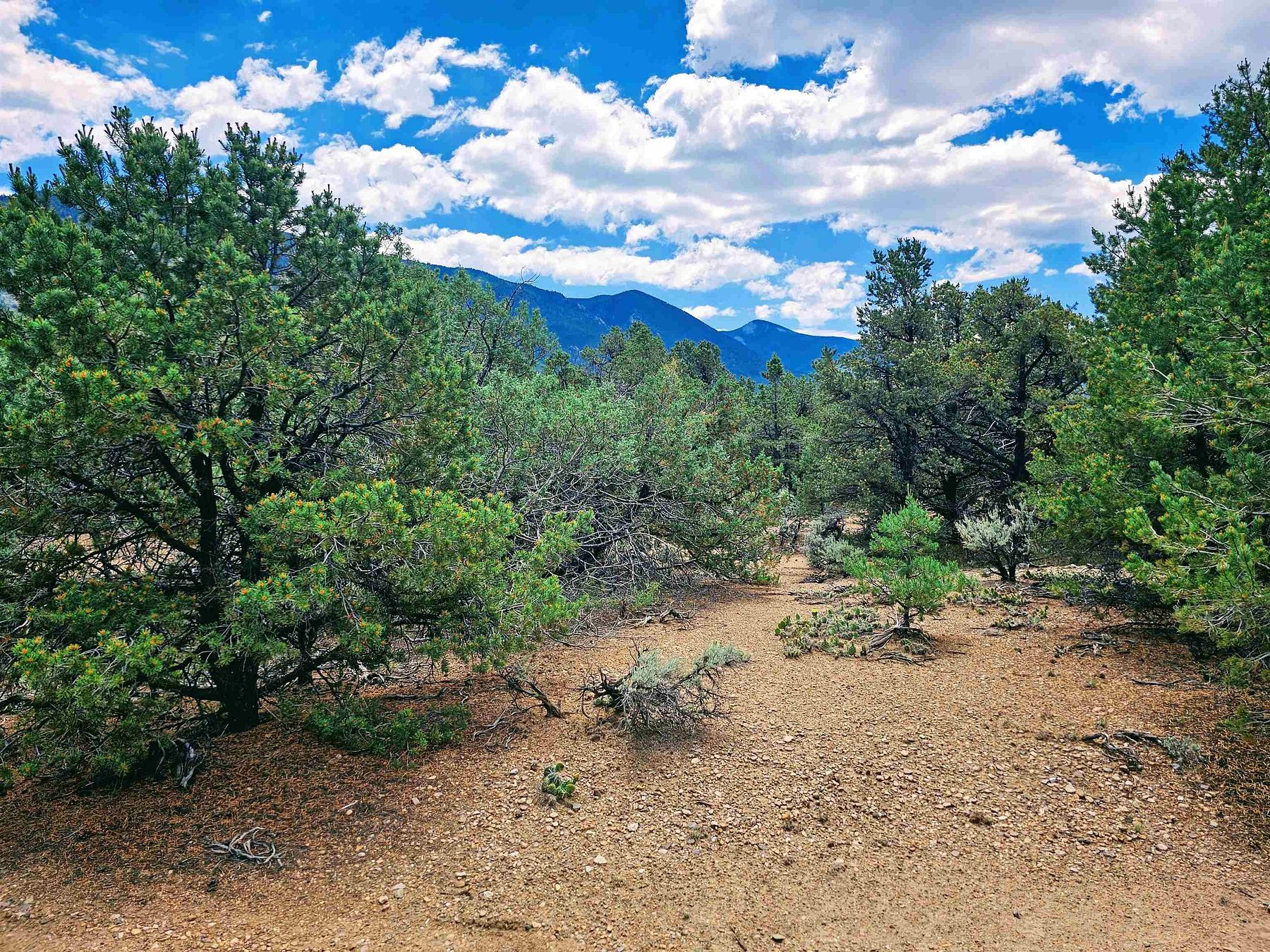 6 Acres of Residential Land for Sale in Questa, New Mexico
