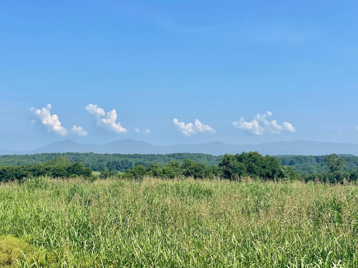 115 Acres of Agricultural Land for Sale in Huddleston, Virginia