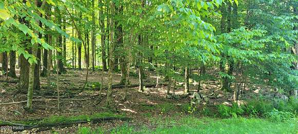 0.35 Acres of Residential Land for Sale in Lake Ariel, Pennsylvania