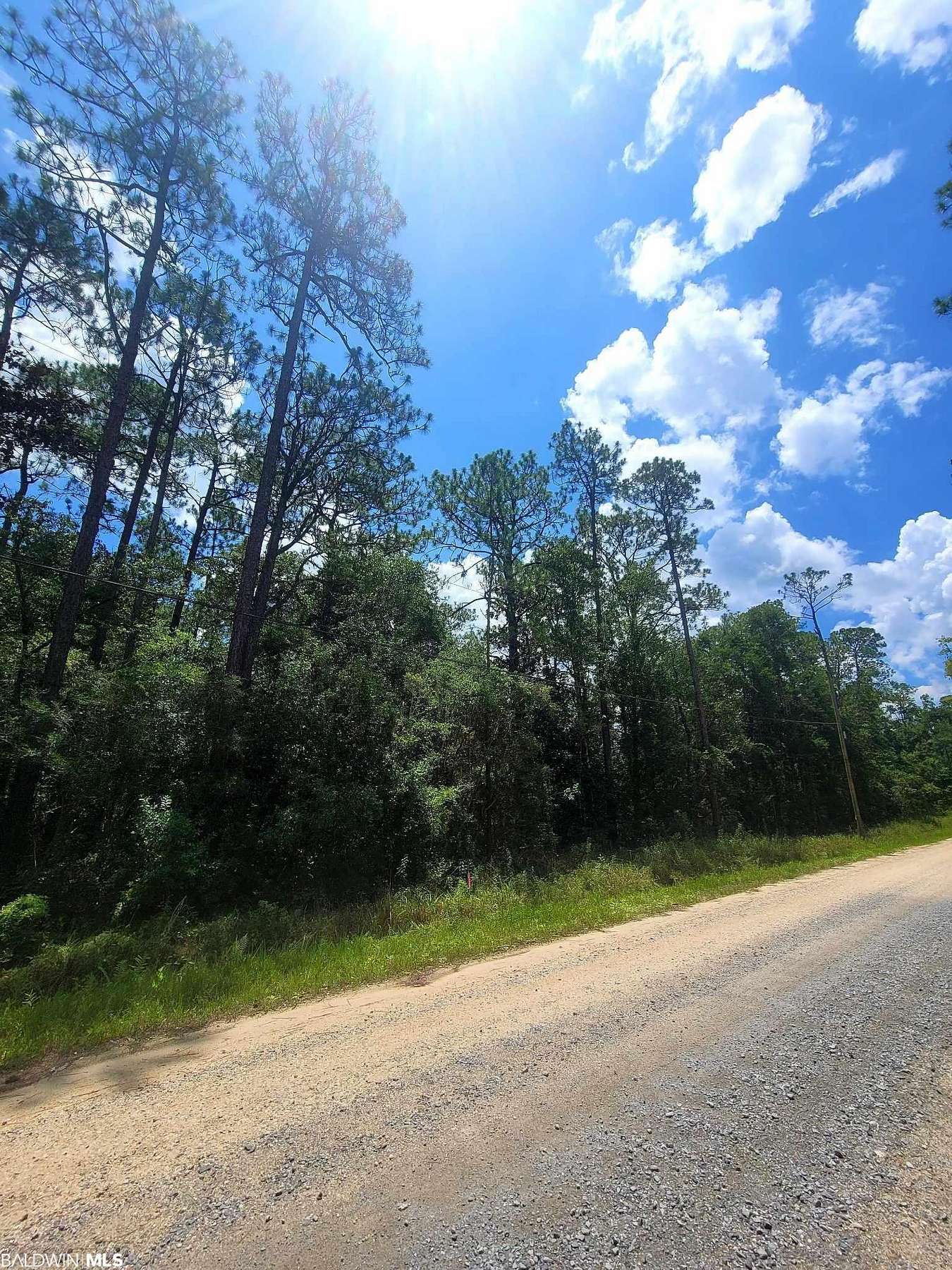 0.55 Acres of Residential Land for Sale in Theodore, Alabama