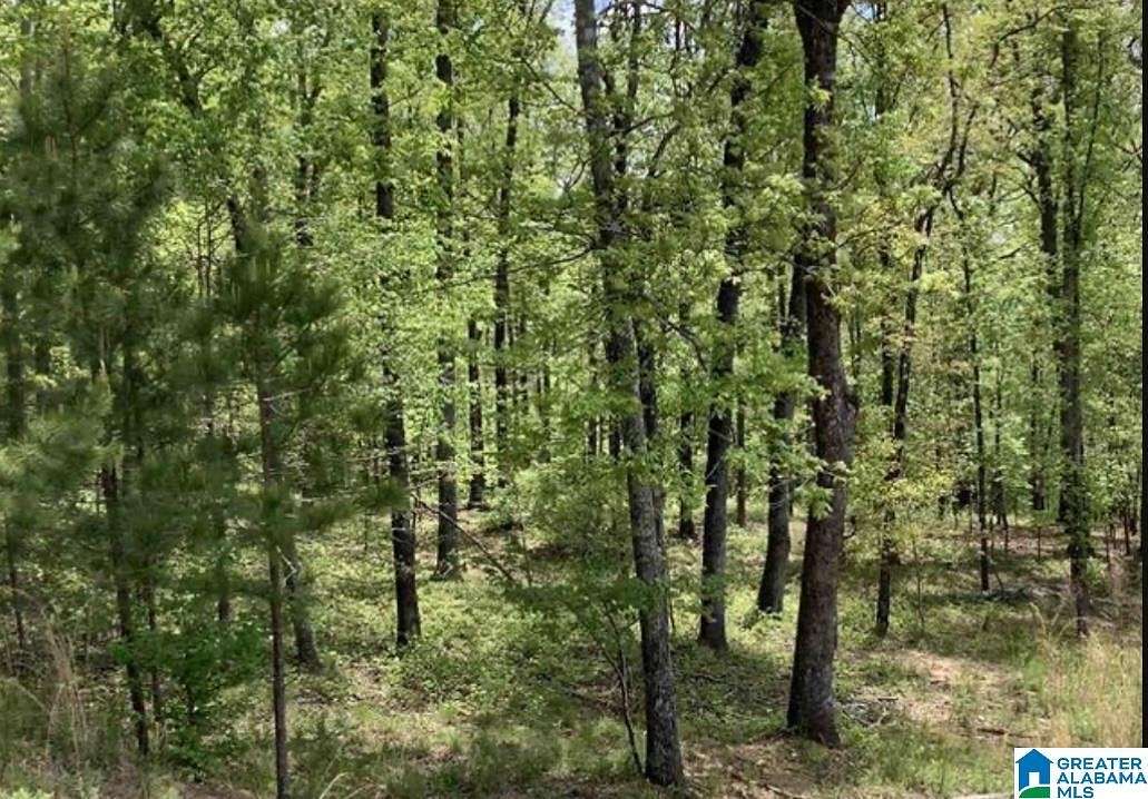 1.7 Acres of Residential Land for Sale in Springville, Alabama