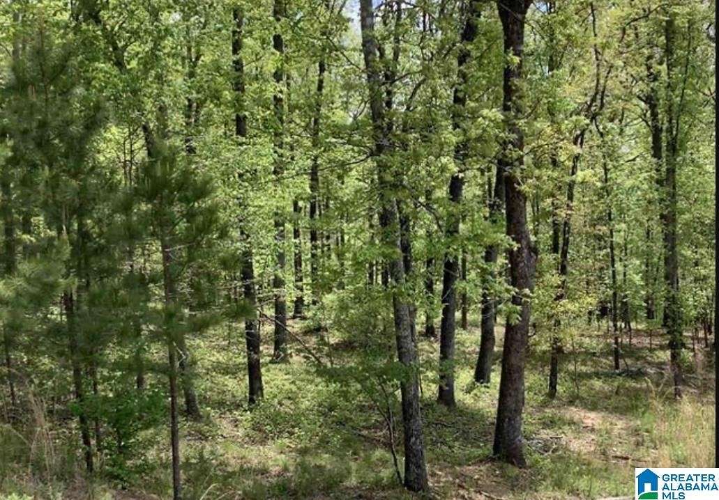 1.65 Acres of Residential Land for Sale in Springville, Alabama