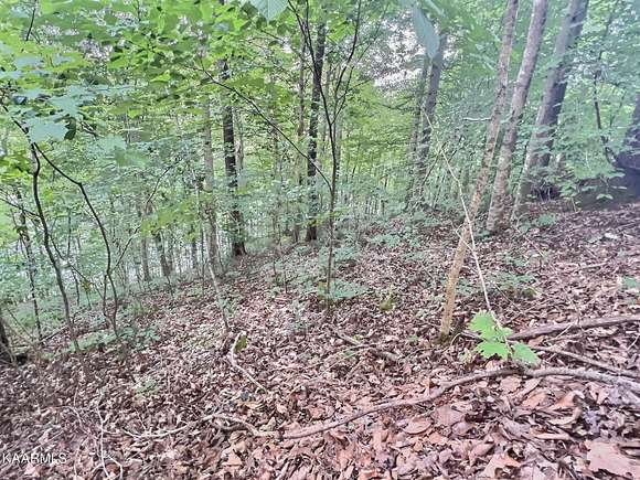 2.4 Acres of Land for Sale in La Follette, Tennessee