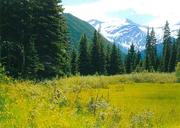 119 Acres of Recreational Land for Sale in Essex, Montana