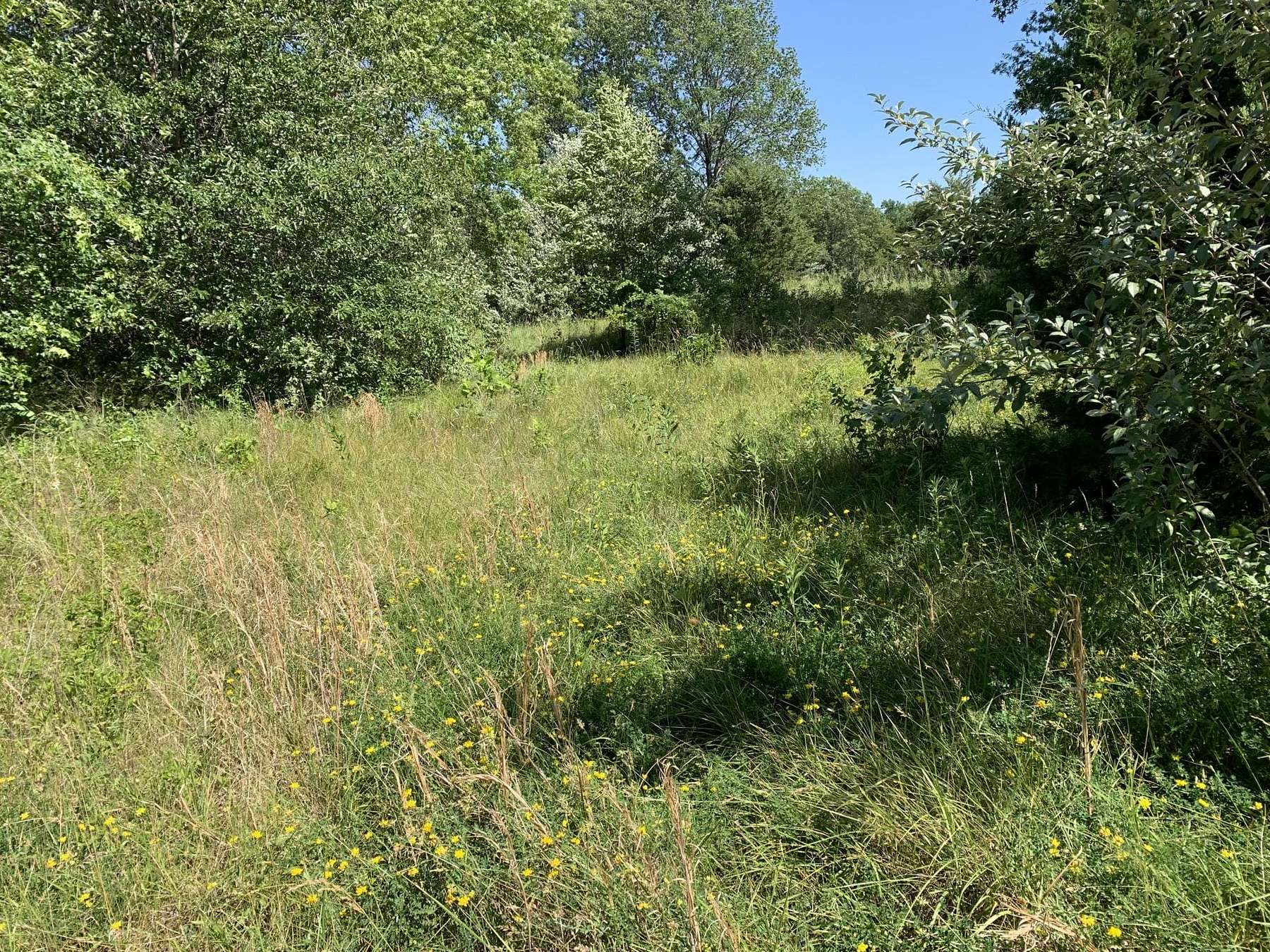 5 Acres of Recreational Land for Sale in Madison, Missouri