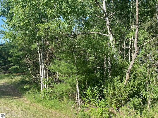 0.78 Acres of Residential Land for Sale in Cadillac, Michigan