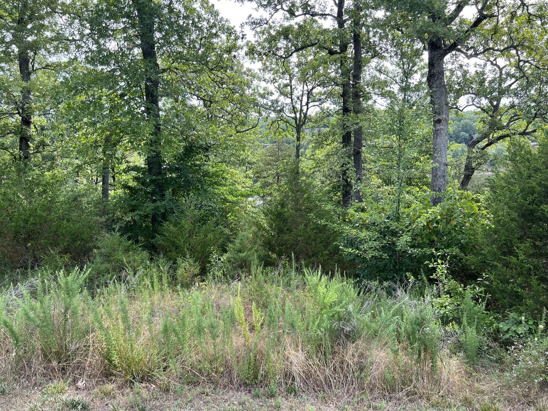 0.63 Acres of Residential Land for Sale in Branson West, Missouri