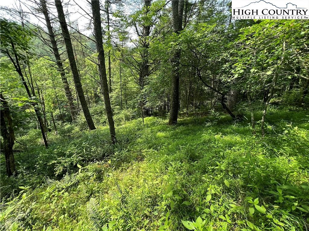 1.7 Acres of Land for Sale in Piney Creek, North Carolina