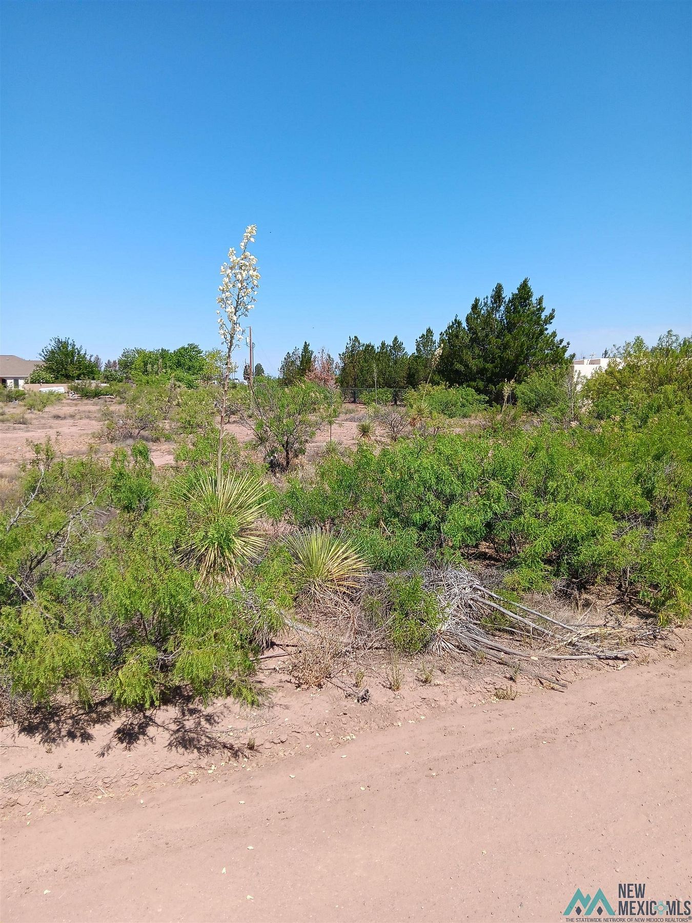 1.3 Acres of Residential Land for Sale in Deming, New Mexico