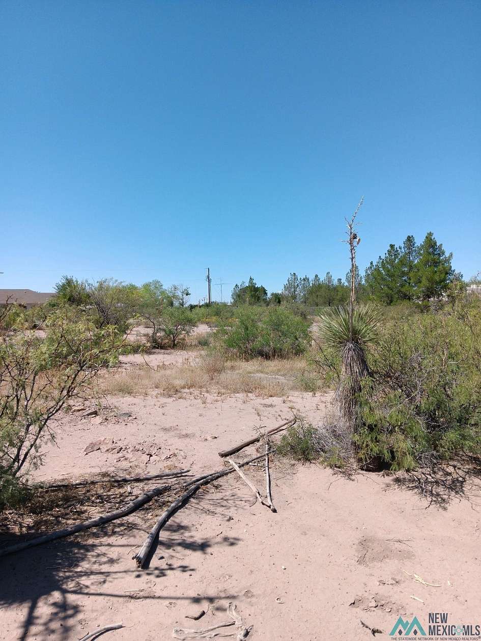 1.31 Acres of Residential Land for Sale in Deming, New Mexico