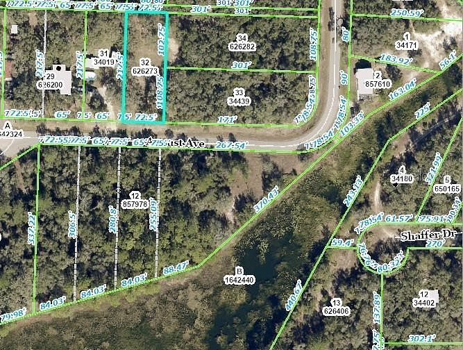 0.4 Acres of Residential Land for Sale in Webster, Florida