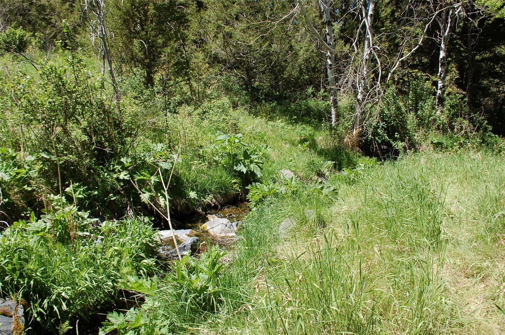 5.4 Acres of Recreational Land for Sale in Virginia City, Montana