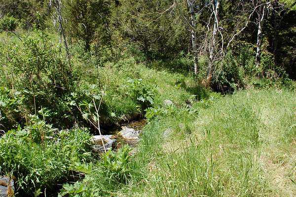 5.4 Acres of Recreational Land for Sale in Virginia City, Montana