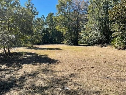 0.99 Acres of Residential Land for Sale in Townsend, Georgia